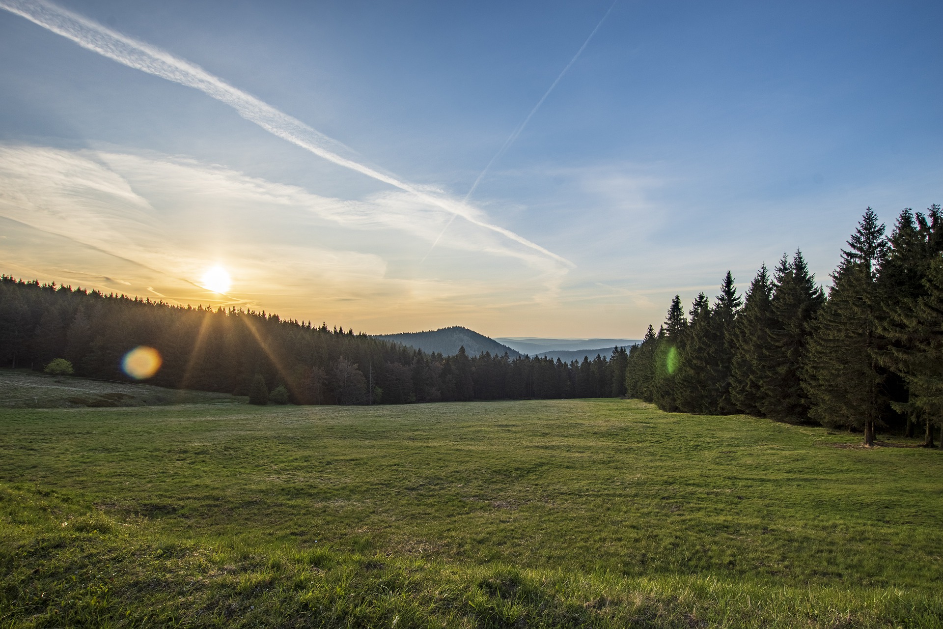 the sunrise over a grassy field and woods